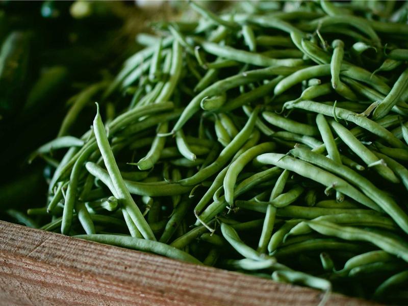 西锤研报｜《植物大战僵尸》官方下载全生态解析：从2009年的草坪到永恒的策略图腾
